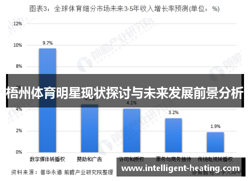 梧州体育明星现状探讨与未来发展前景分析